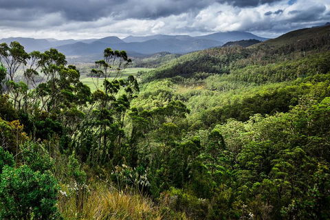 3-Day Tour To The Falls, Mountains, Lake & More Of West Coast Tasmania - Tourism Caloundra 0