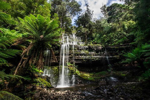 3-Day Tour To The Falls, Mountains, Lake & More Of West Coast Tasmania - Tourism Caloundra 4
