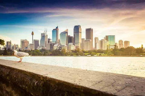 Private Sydney City And Bondi Beach Half Day Tour - Tourism Caloundra 2