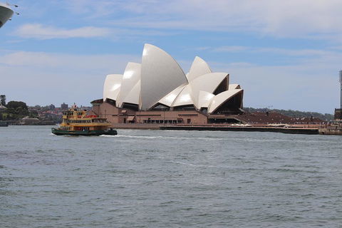 Private Sydney City And Bondi Beach Half Day Tour - Tourism Caloundra 5