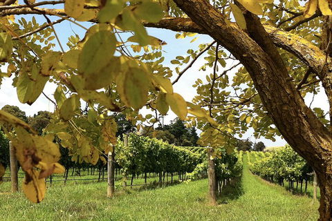 Private Southern Highlands Day Trip From Sydney Including Fitzroy Falls - Tourism Caloundra 5