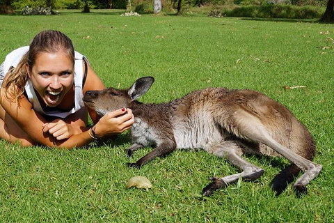 7-Day Tour In Sydney With Airport Pickup - Tourism Caloundra 4