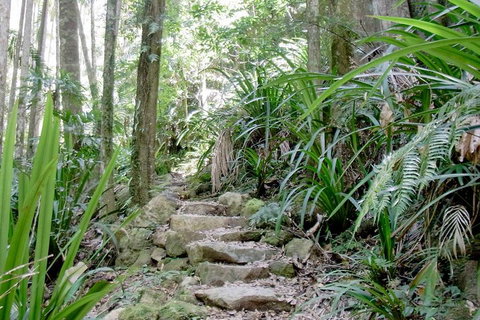 Byron Bay Combo: Minyon Falls And Hinterland Day Trip And Learn To Surf At Byron Bay - Tourism Caloundra 3