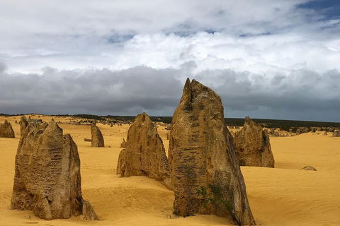 Private Pinnacles Day Tour - Tourism Caloundra 1