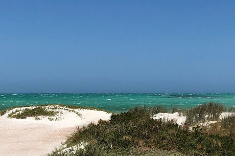 Private Pinnacles Day Tour - Tourism Caloundra 2
