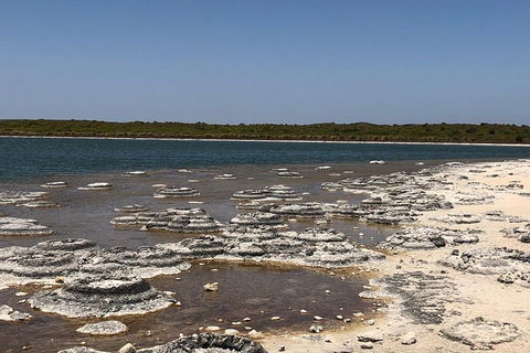 Private Pinnacles Day Tour - Tourism Caloundra 5