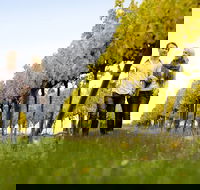 2-Day Private Daylesford  Macedon Ranges Gourmet Food Trail Tour from Melbourne - Tourism Caloundra