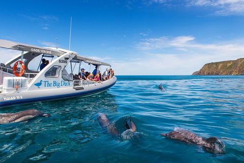 Victor Harbor And McLaren Vale Wine Region Day Tour - Tourism Caloundra 1