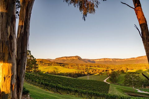 Taste Of The Blue Mountains - Lunch & Wine Tasting, Beer, Cider & Gin Tasting - Tourism Caloundra 1