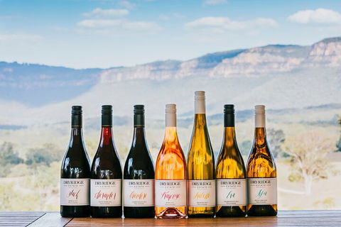 Taste Of The Blue Mountains - Lunch & Wine Tasting, Beer, Cider & Gin Tasting - Tourism Caloundra 3