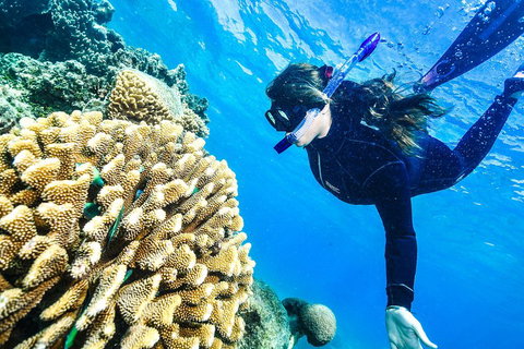 Green Island Day Trip From Cairns - Tourism Caloundra 1