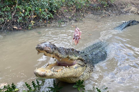 Top End Waterfalls And Wetlands - Tourism Caloundra 0