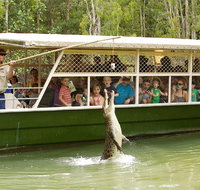 Hartley's Crocodile Adventure Half-Day Tour - Tourism Caloundra