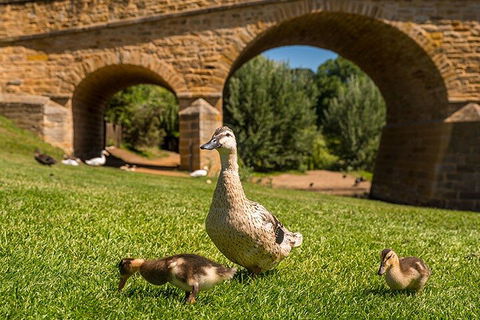 Richmond Historic Afternoon Tour From Hobart - Tourism Caloundra 1