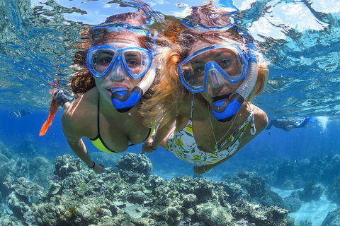 Great Barrier Reef Snorkeling And Diving Cruise From Cairns - Tourism Caloundra 3