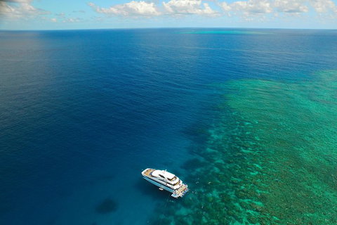 Great Barrier Reef Snorkeling And Diving Cruise From Cairns - Tourism Caloundra 4