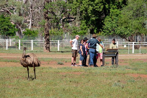 Yura Udnyu - Our Culture, Your Culture (Aboriginal Cultural Walk) - Tourism Caloundra 1