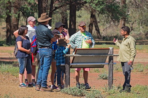 Yura Udnyu - Our Culture, Your Culture (Aboriginal Cultural Walk) - Tourism Caloundra 2