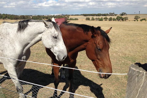 Legends & Champions Tour - Tourism Caloundra 1
