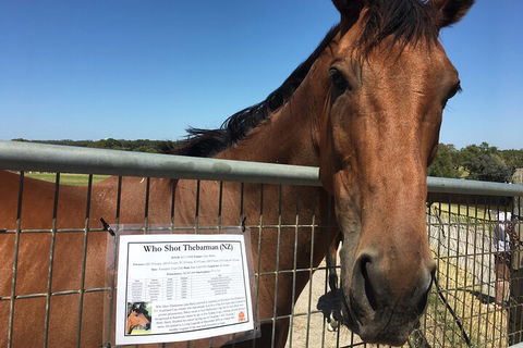Legends & Champions Tour - Tourism Caloundra 4