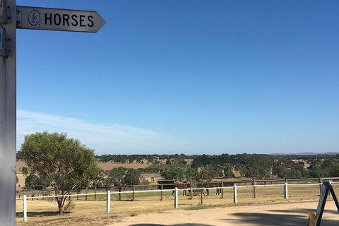Legends & Champions Tour - Tourism Caloundra 5
