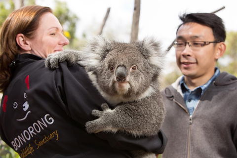 Bonorong Wildlife Park And Richmond Afternoon Tour From Hobart - Tourism Caloundra 0