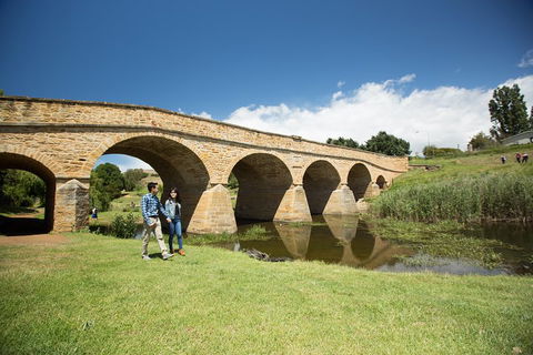 Bonorong Wildlife Park And Richmond Afternoon Tour From Hobart - Tourism Caloundra 2