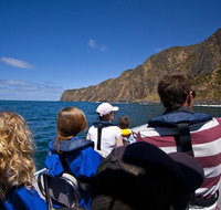 Seal Island Boat Tour from Victor Harbor - Tourism Caloundra