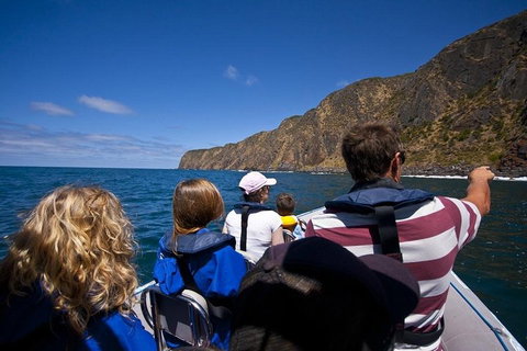 Seal Island Boat Tour From Victor Harbor - Tourism Caloundra 0