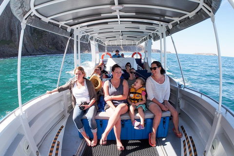 Seal Island Boat Tour From Victor Harbor - Tourism Caloundra 1