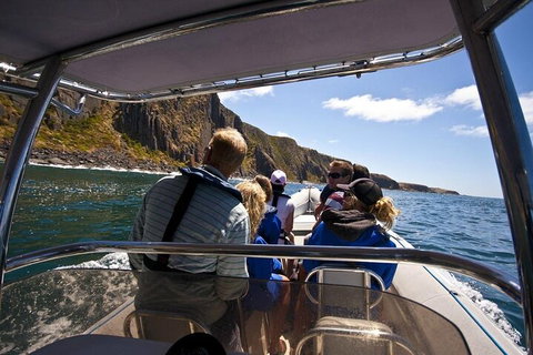Seal Island Boat Tour From Victor Harbor - Tourism Caloundra 2