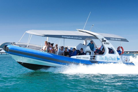 Seal Island Boat Tour From Victor Harbor - Tourism Caloundra 3