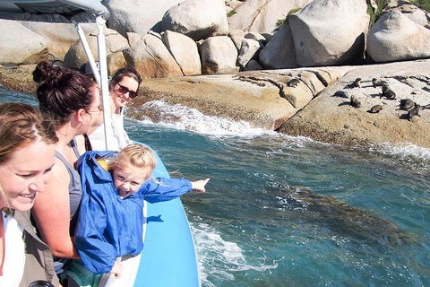 Seal Island Boat Tour From Victor Harbor - Tourism Caloundra 4