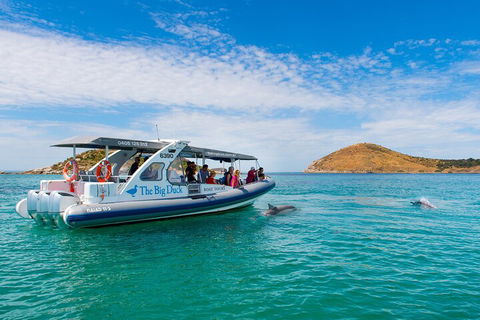 Southern Ocean Adventure From Victor Harbor - Tourism Caloundra 1