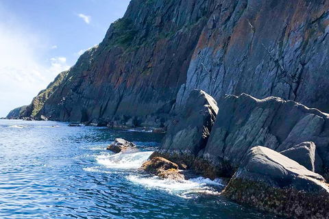 Southern Ocean Adventure From Victor Harbor - Tourism Caloundra 3
