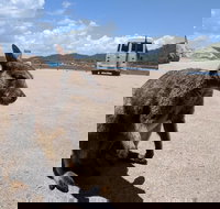 Magnetic Island Tour Maggie Comprehensive - Tourism Caloundra