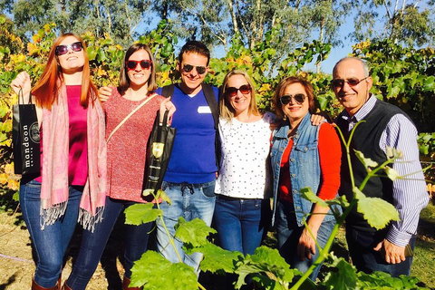 Swan Valley Tour From Perth: Wine, Beer And Chocolate Tastings - Tourism Caloundra 2