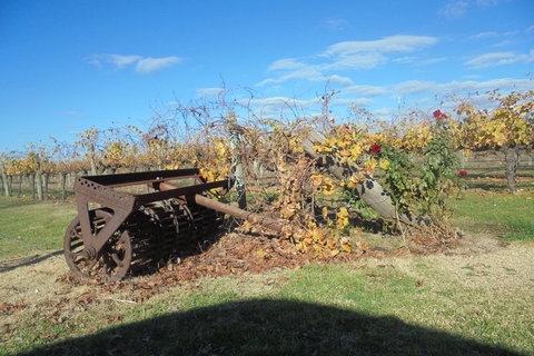 Swan Valley Tour From Perth: Wine, Beer And Chocolate Tastings - Tourism Caloundra 3