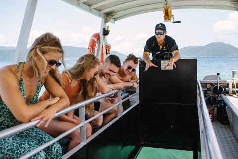 Fitzroy Island Day Trip From Cairns - Tourism Caloundra 4