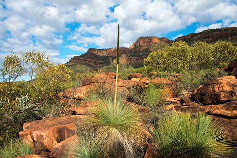 6-Day Eyre Peninsula & Flinders Ranges Adventure Tour - Tourism Caloundra 1