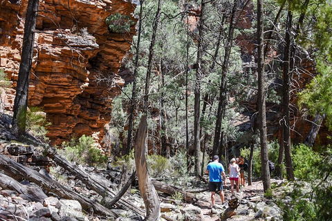 6-Day Eyre Peninsula & Flinders Ranges Adventure Tour - Tourism Caloundra 5