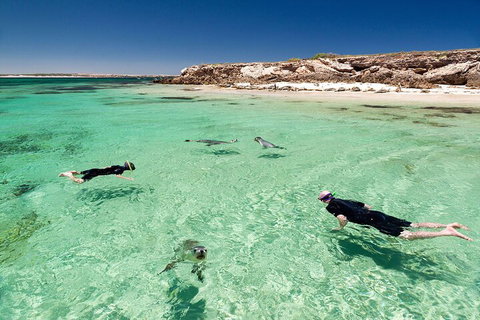 10 Day Adelaide To Perth Private Tour - The Great Australian Wilderness Journey - Tourism Caloundra 1