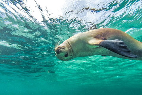 10 Day Adelaide To Perth Private Tour - The Great Australian Wilderness Journey - Tourism Caloundra 2