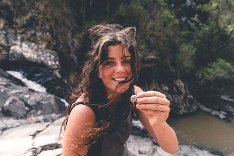 Springbrook AndTamborine Rainforest Tour Incl Natural Bridge And Glow Worm Cave - Tourism Caloundra 1