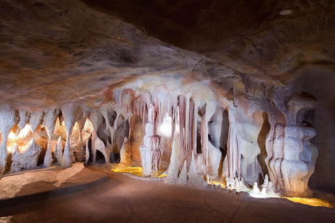 Springbrook AndTamborine Rainforest Tour Incl Natural Bridge And Glow Worm Cave - Tourism Caloundra 4