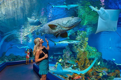 Cairns Aquarium Admission Ticket - Tourism Caloundra 3