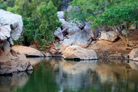 Windjana Gorge And Tunnel Creek 4WD Tour From Broome - Tourism Caloundra 5