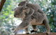Lone Pine Koala Sanctuary Admission With Brisbane River Cruise - thumb 0
