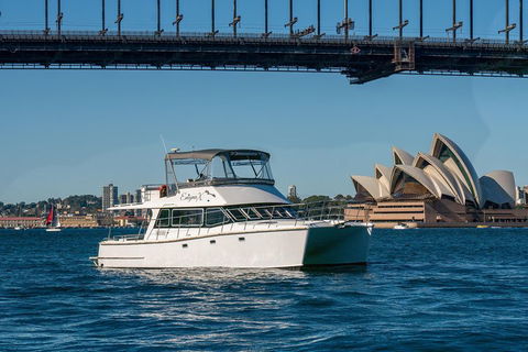 Vivid 90-Minute Sydney Harbour Small Group Catamaran Cruise - Tourism Caloundra 2