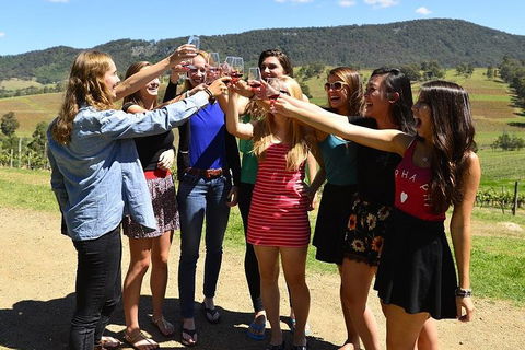 Hunter Valley Wine Tour From Sydney Incl Lunch, Cheese, Chocolate And Distillery - Tourism Caloundra 3
